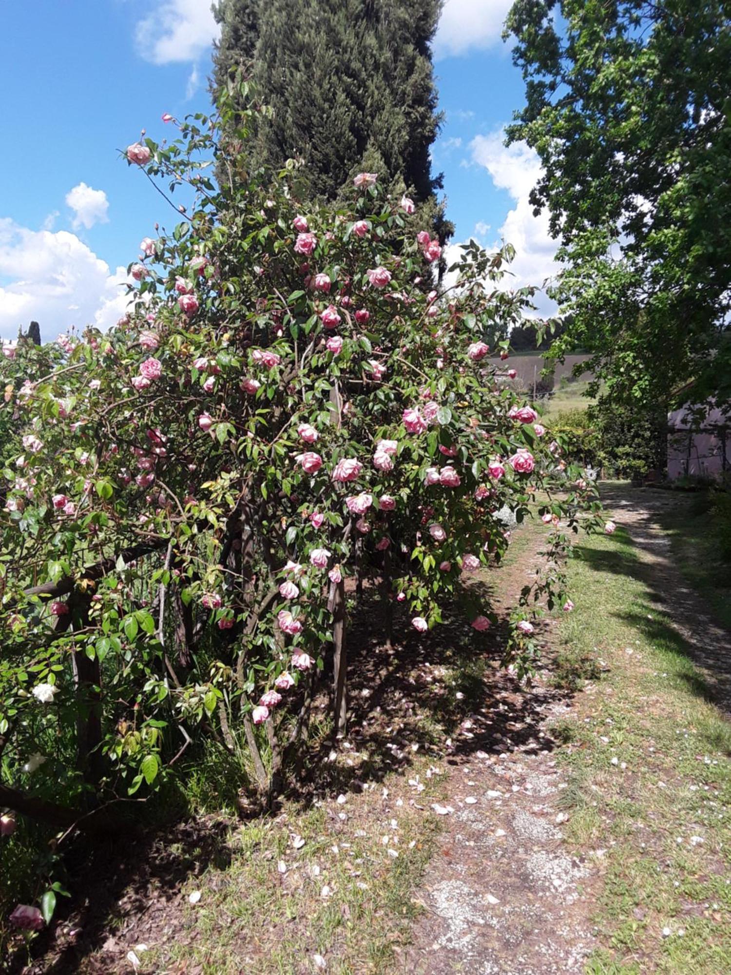 La Casa Delle Rose Villa Otricoli Екстериор снимка