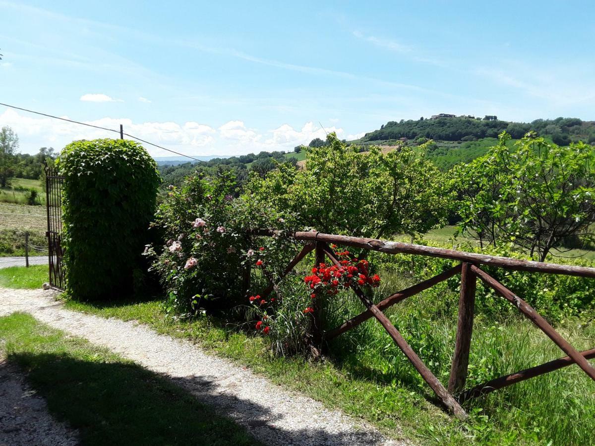 La Casa Delle Rose Villa Otricoli Екстериор снимка