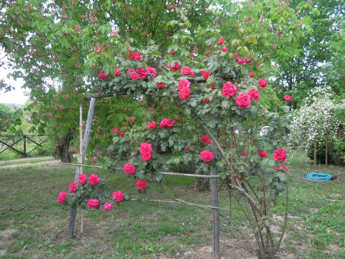 La Casa Delle Rose Villa Otricoli Екстериор снимка